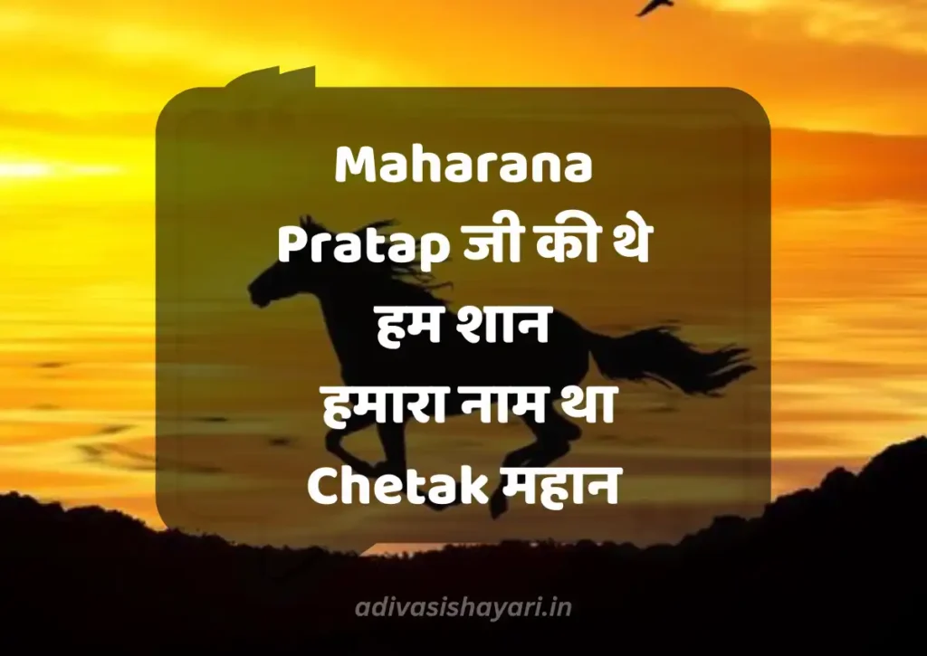 Famous Horse Love Shayari in Hindi