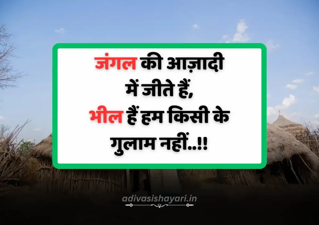 Bhil Adivasi Shayari In Hindi