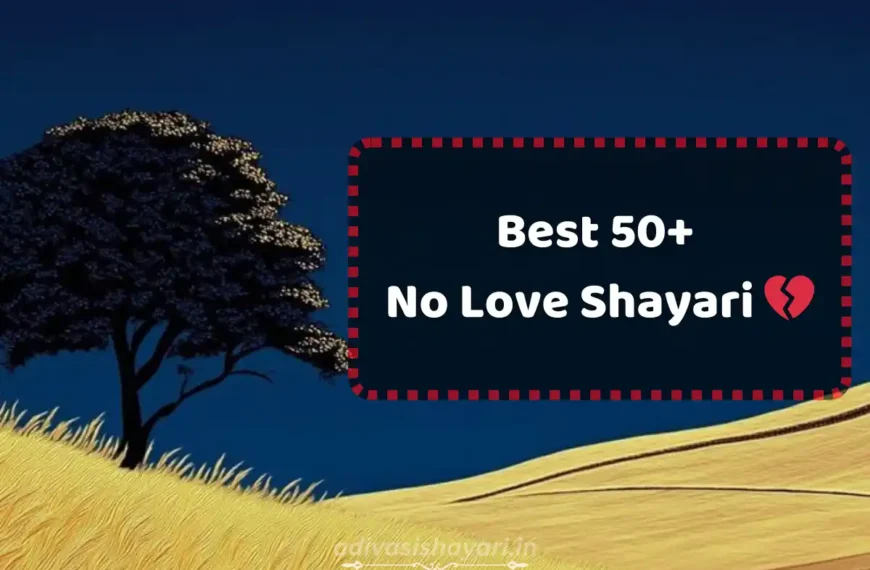 no love shayari in hindi
